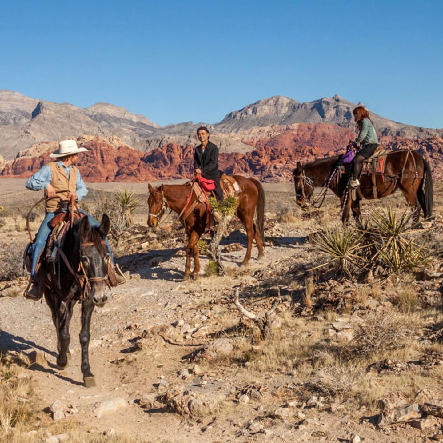 Canyon Rim Ride Las Vegas
