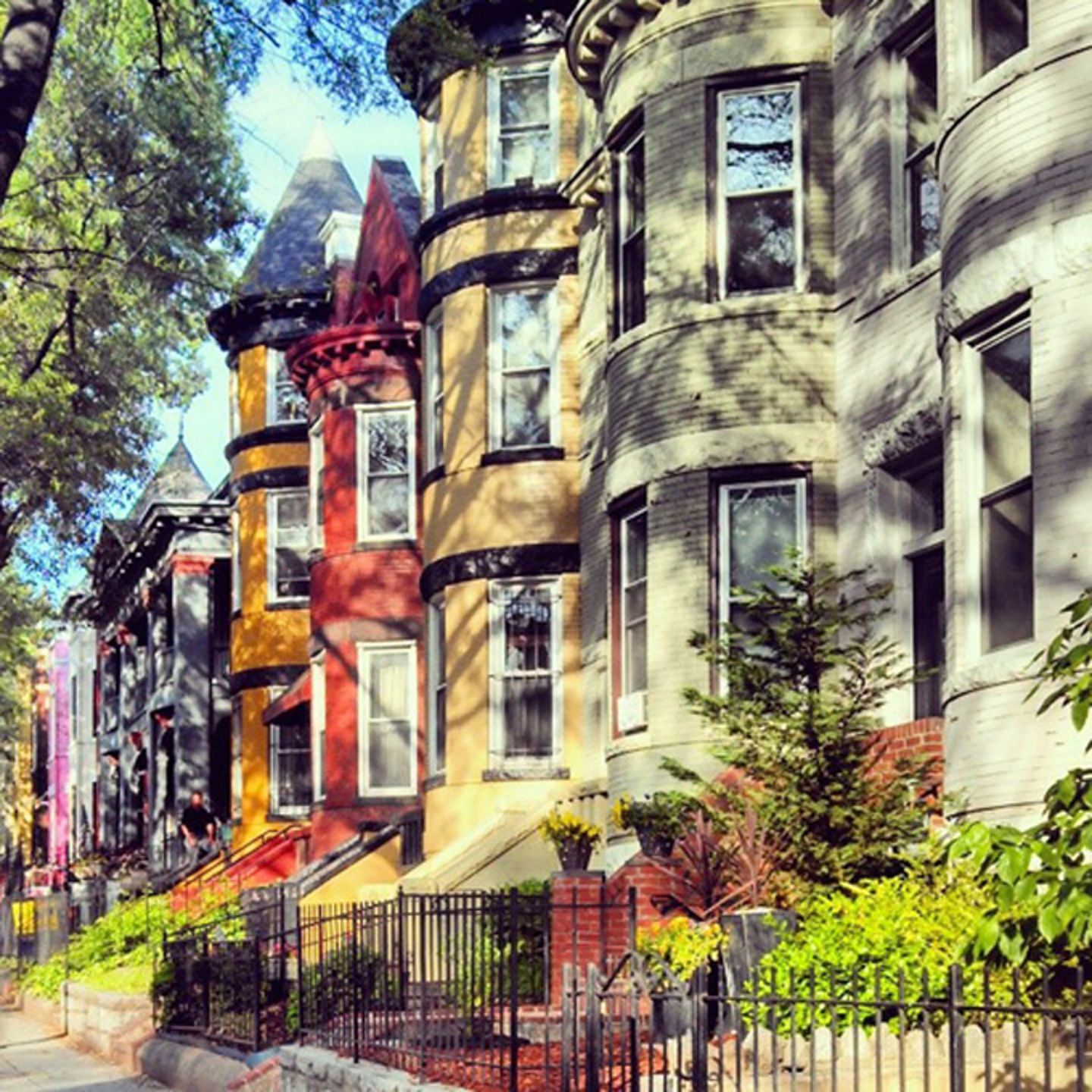 Capitol Hill Food Tour in Washington DC