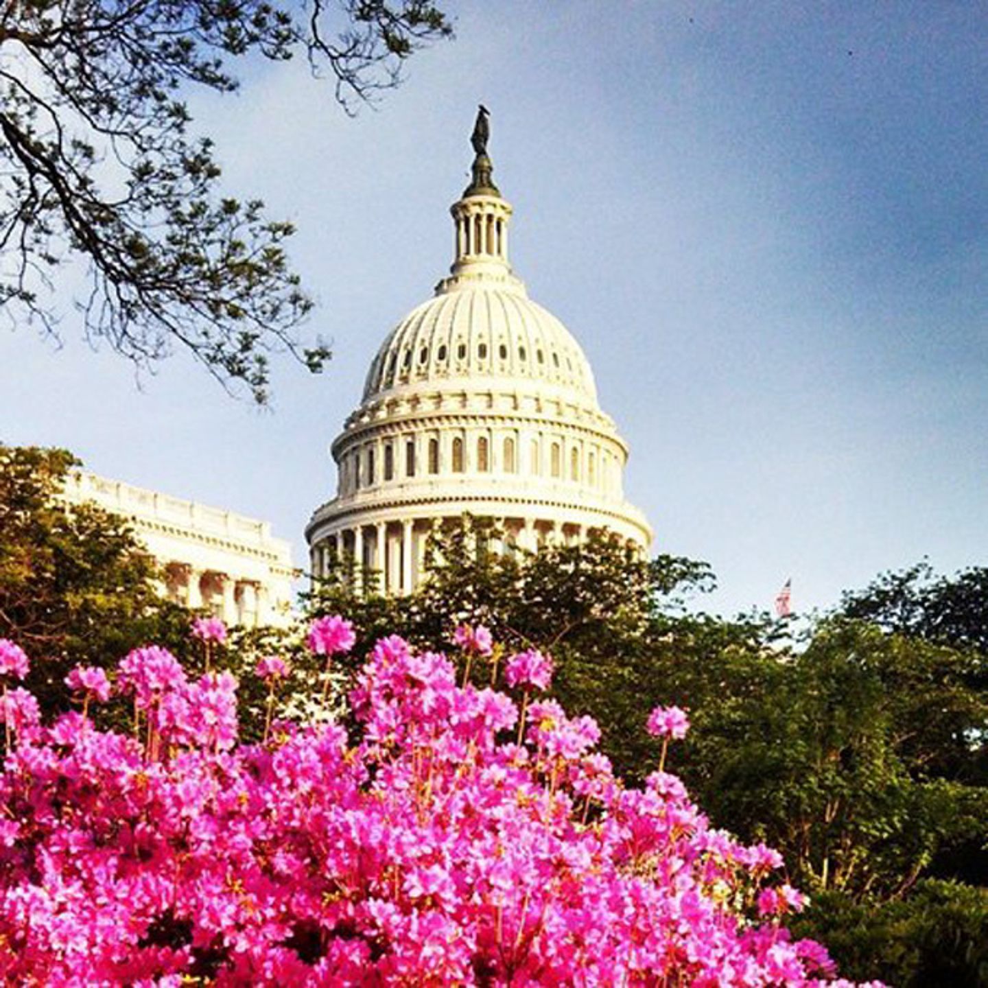 Views of the Capitol