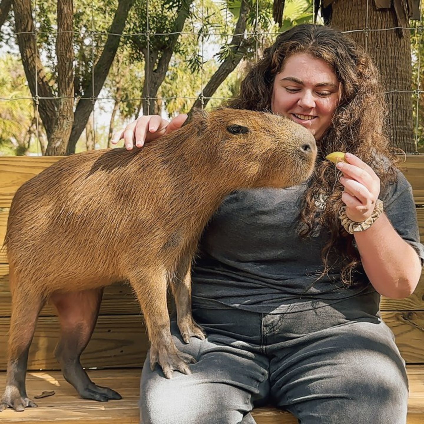 Capybara Encounter
