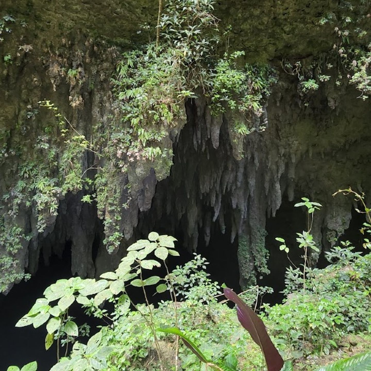 Green Cave