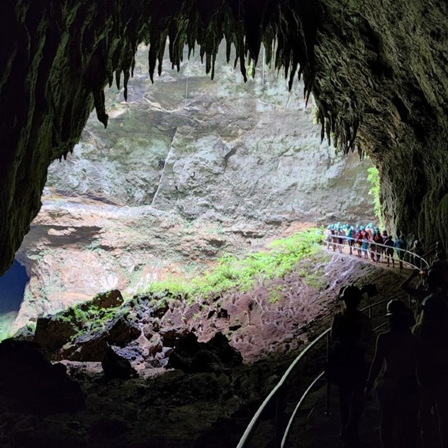Cave Entrance