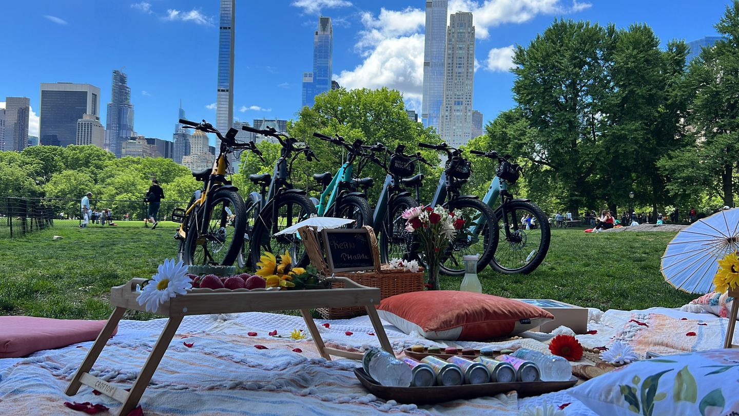 Bikes and picnic in Central Park
