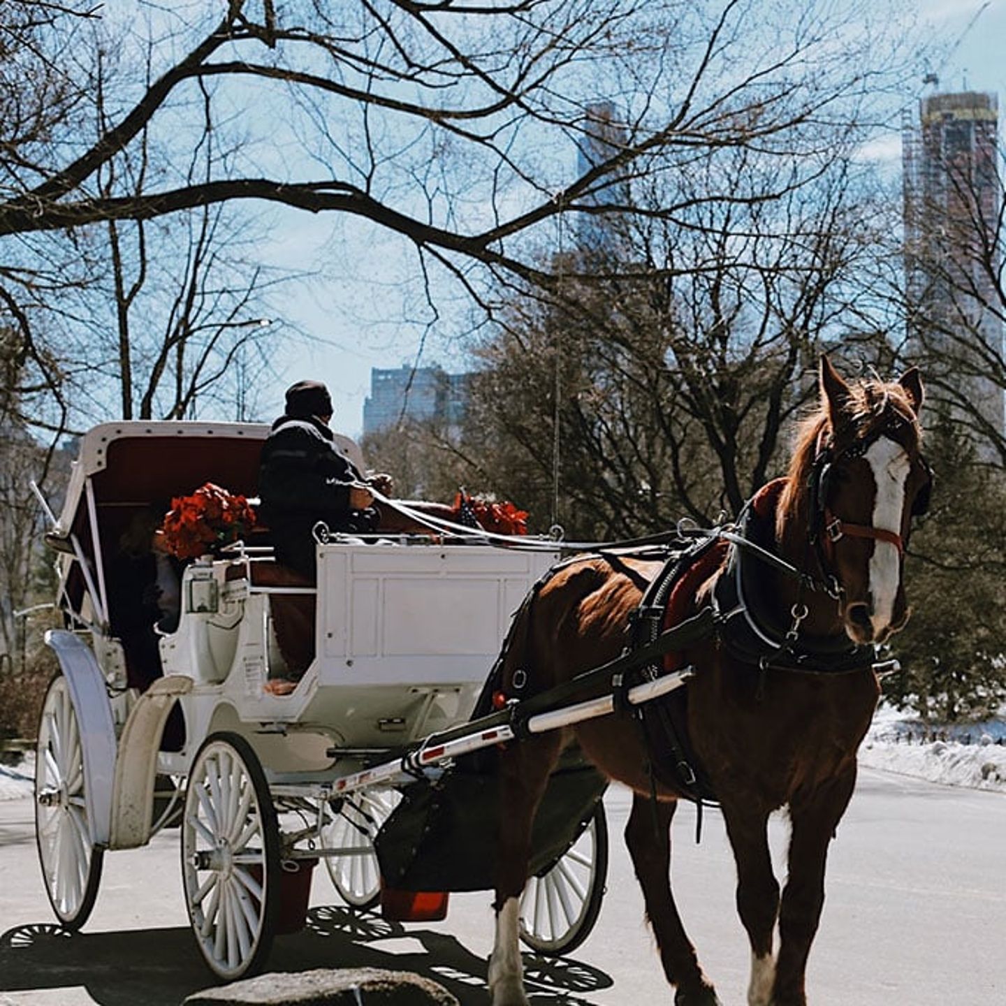 Carriage Ride on Tour