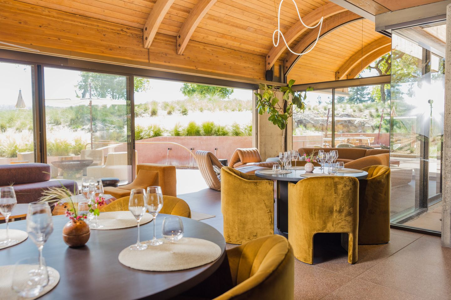 Chandon Club Member
