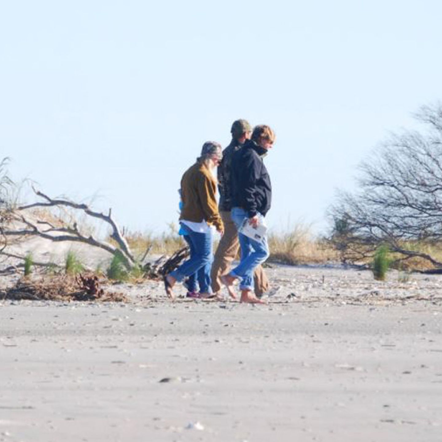 Discover Fossils in Charleston 