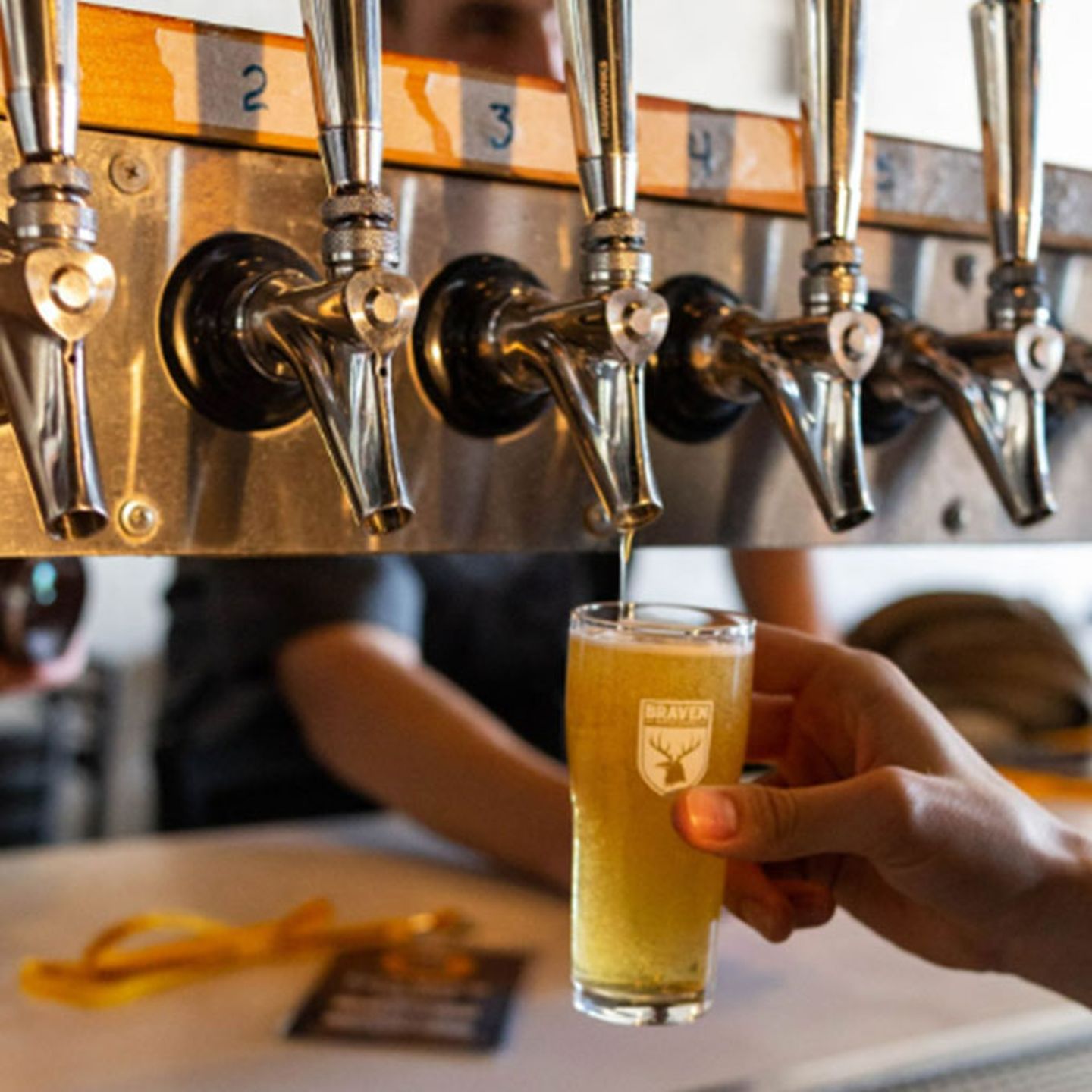 Beer Tour in Brooklyn