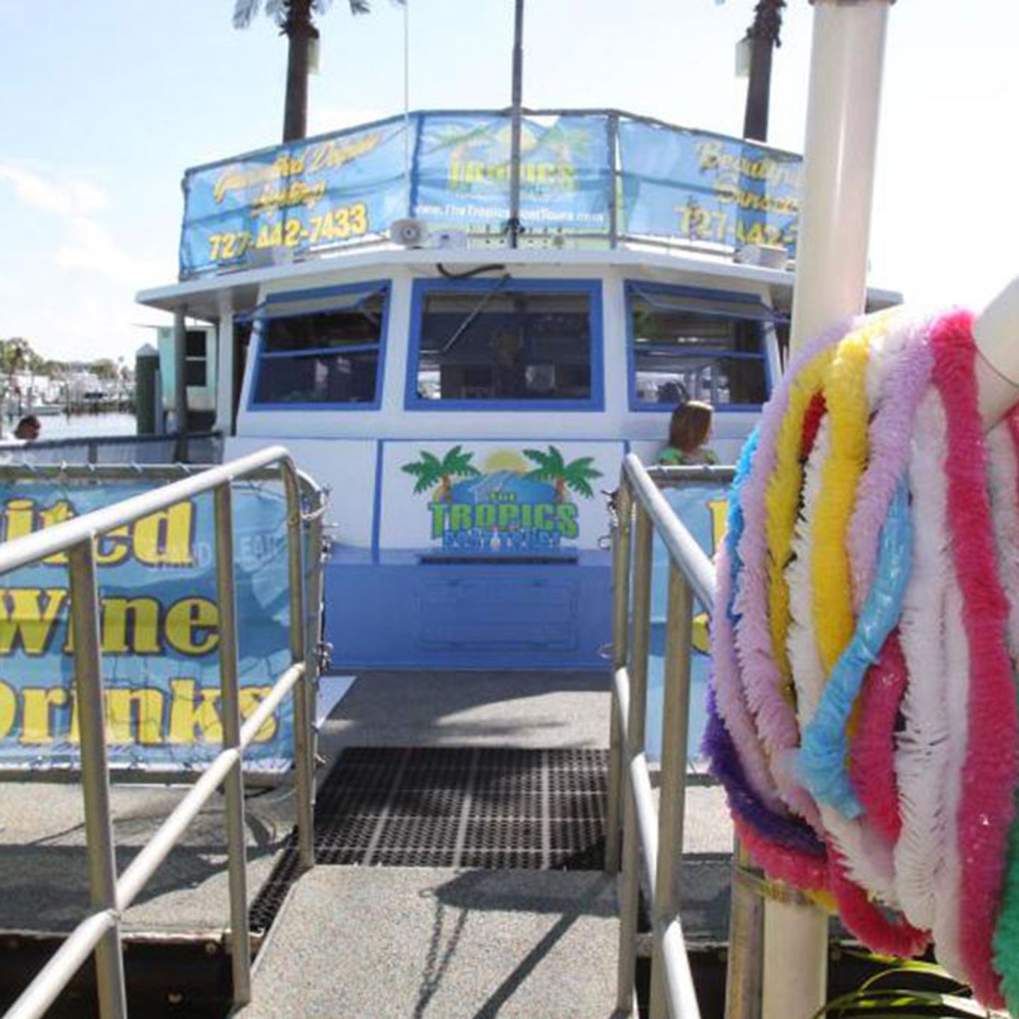 Dolphin Adventure Cruise
