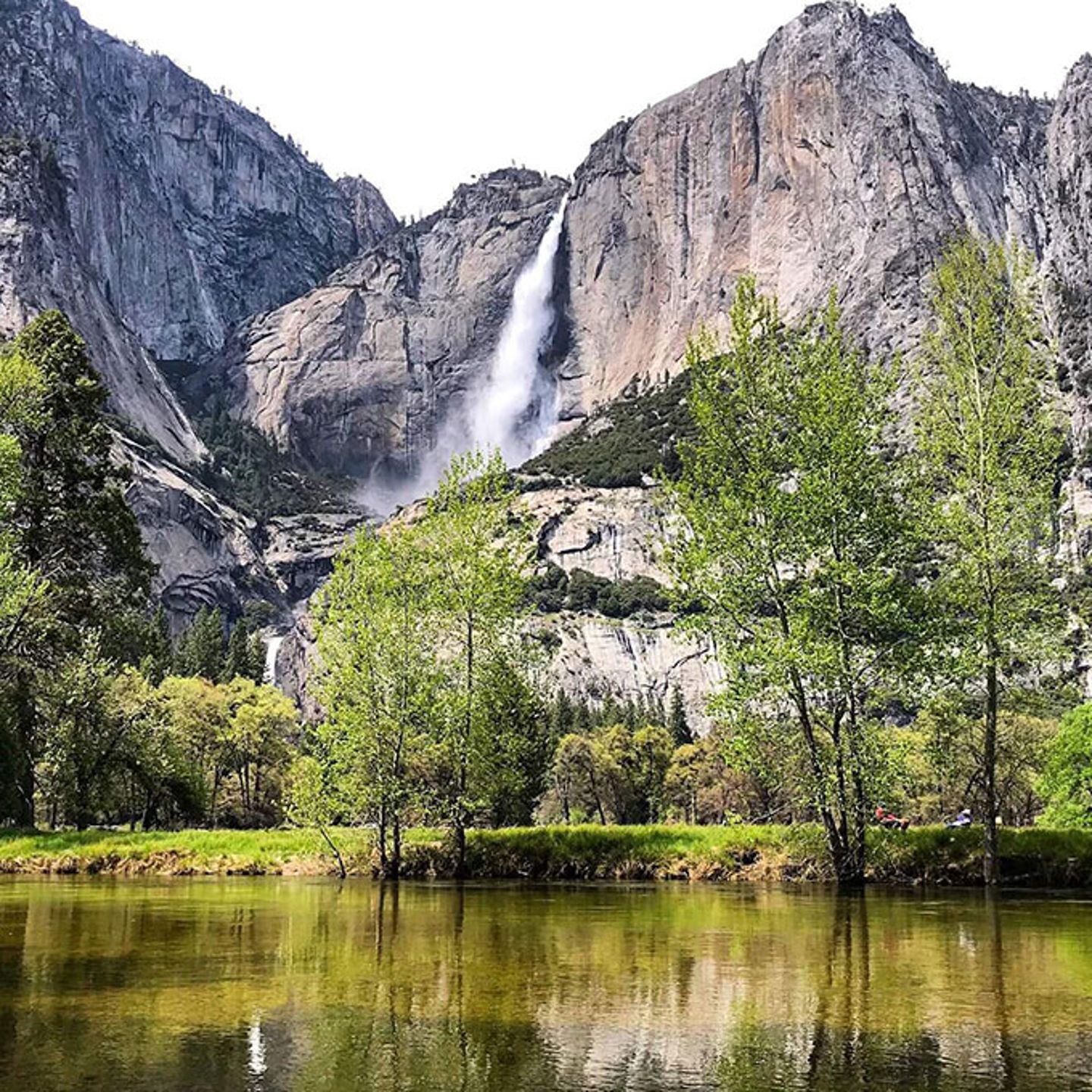 Yosemite Day Tour