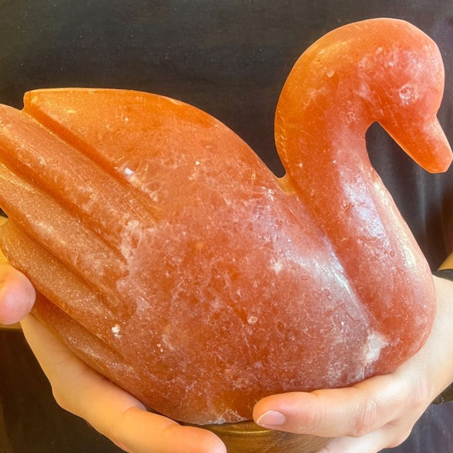 Swan salt lamp