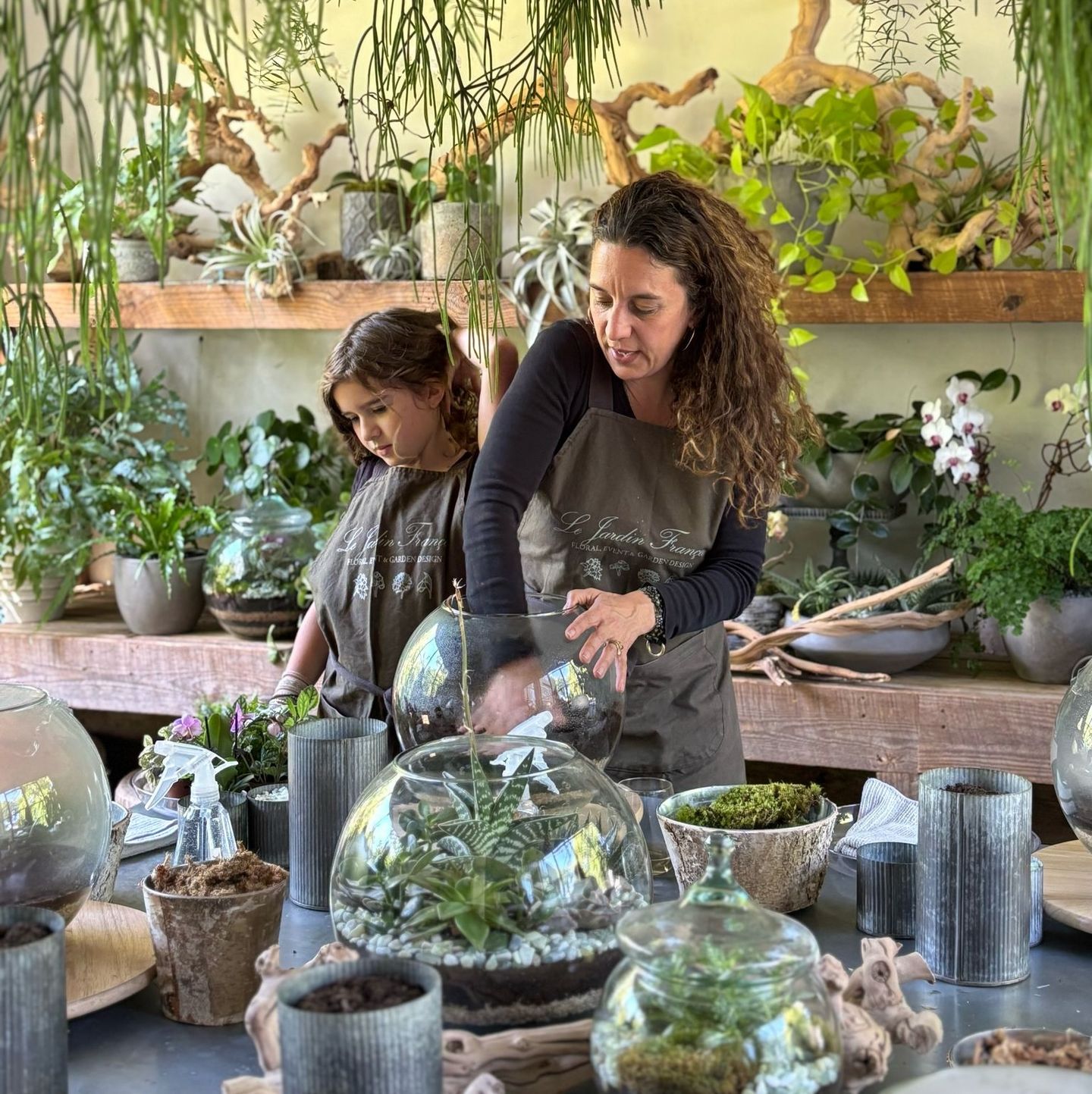 Making Your Own Terrarium