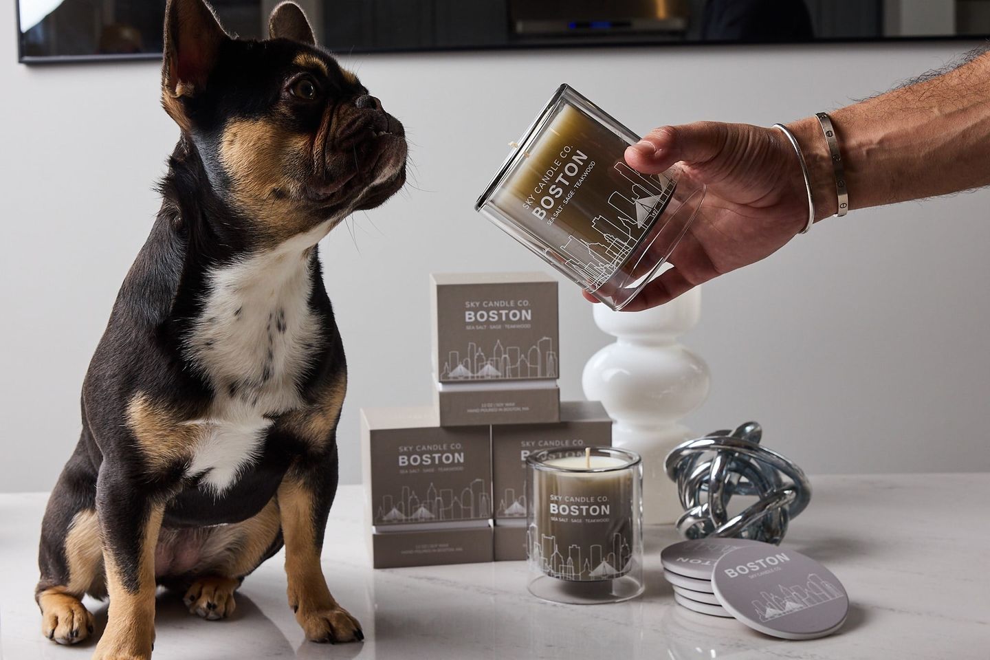 Dog Smelling