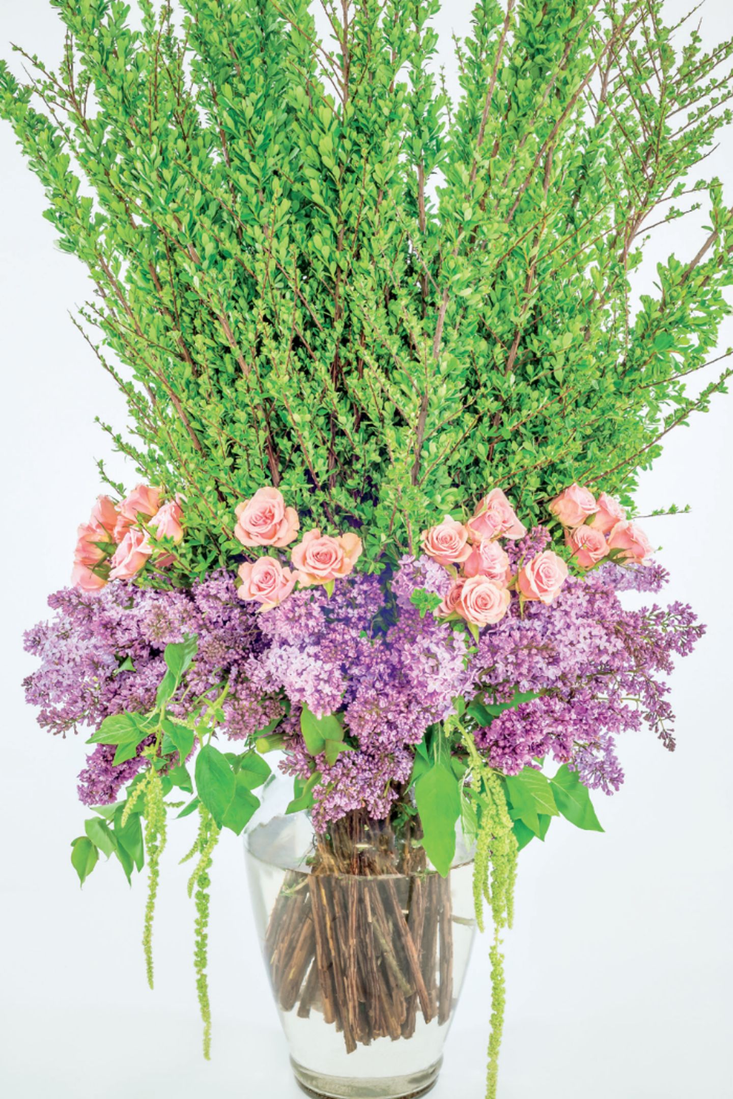 Chicago Flower Class