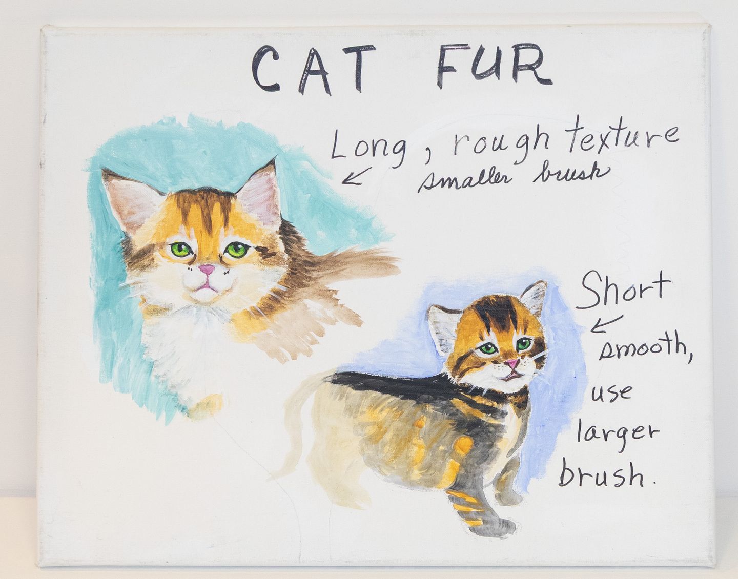 Cat Fur Painting
