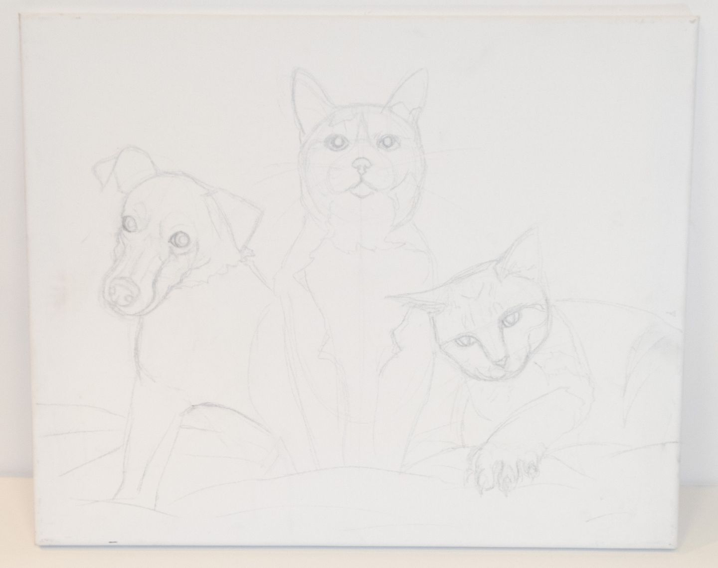Drawing of Pet