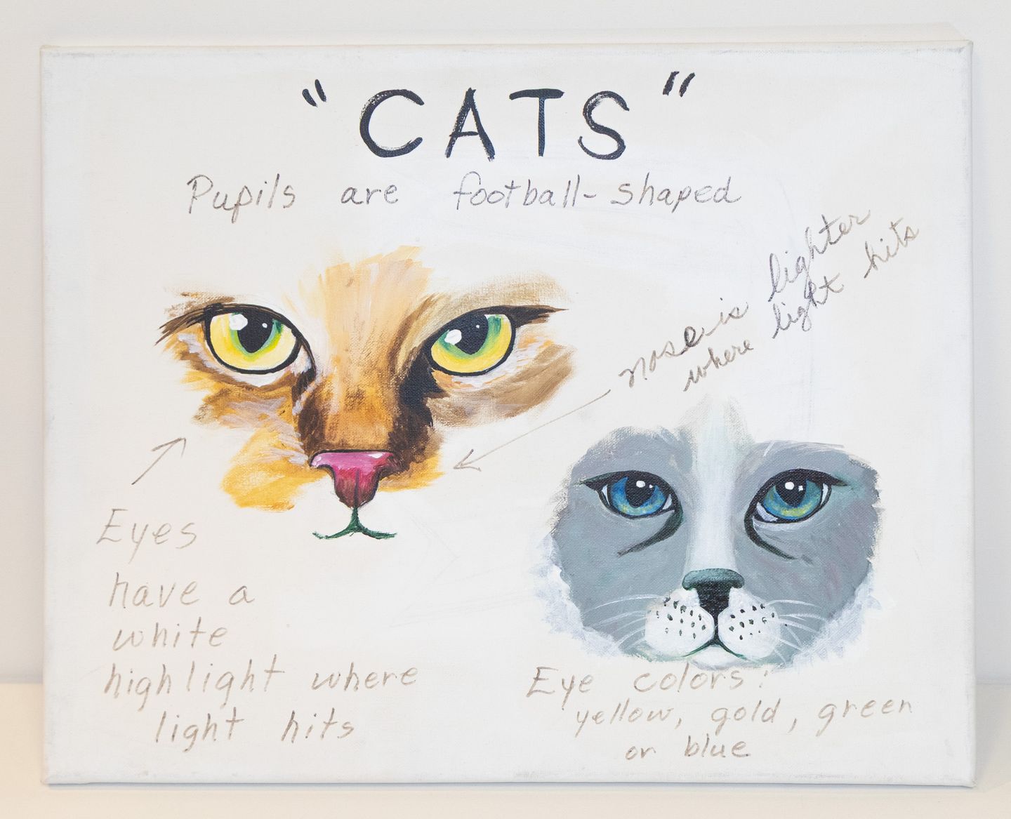 Cat Eyes Painting