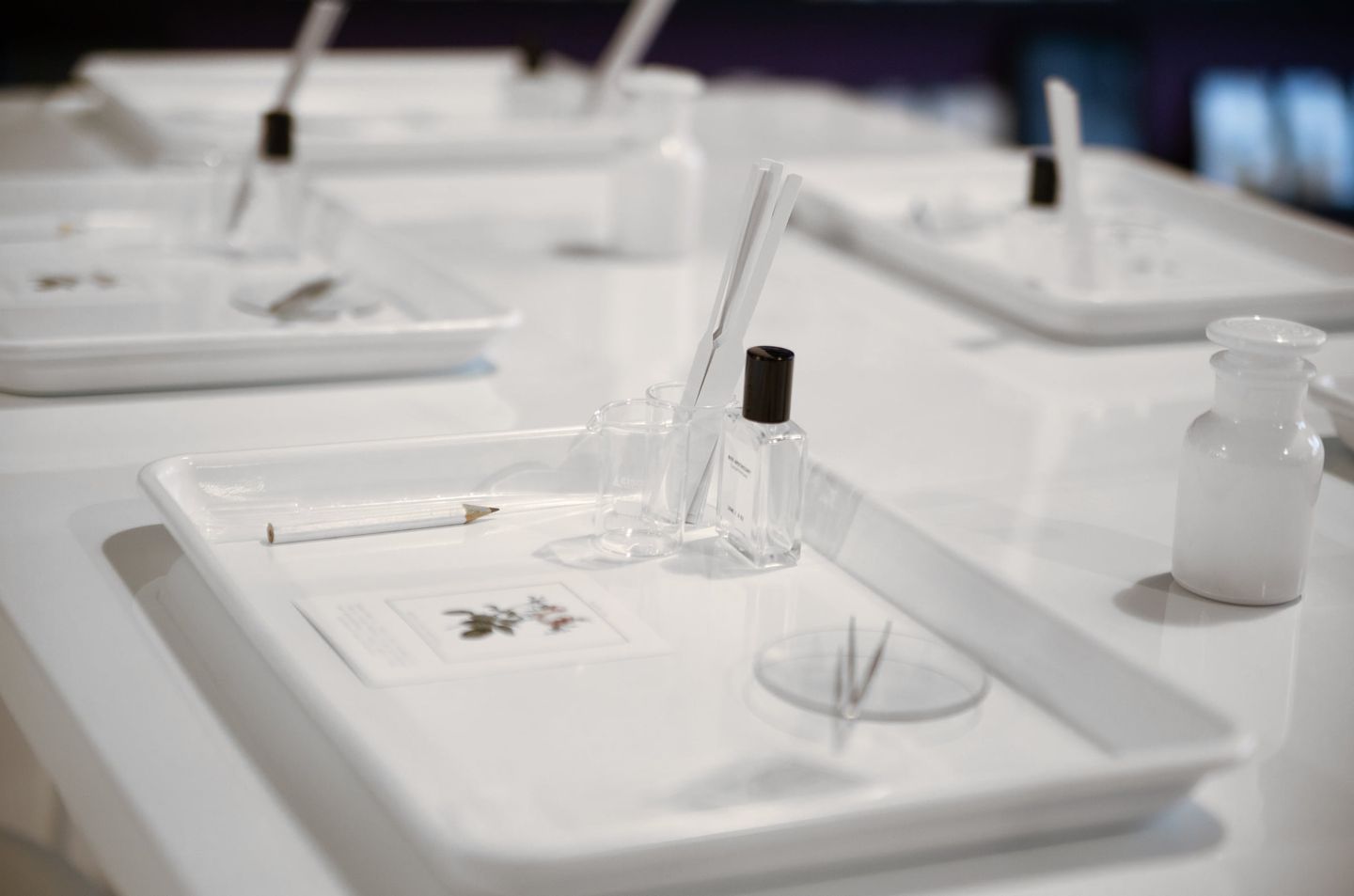 Signature Scent Making Class