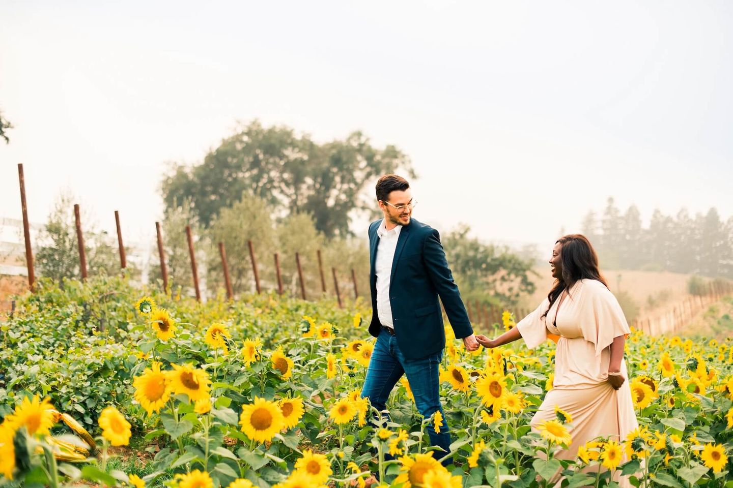 Sunflower Field Photoshoot