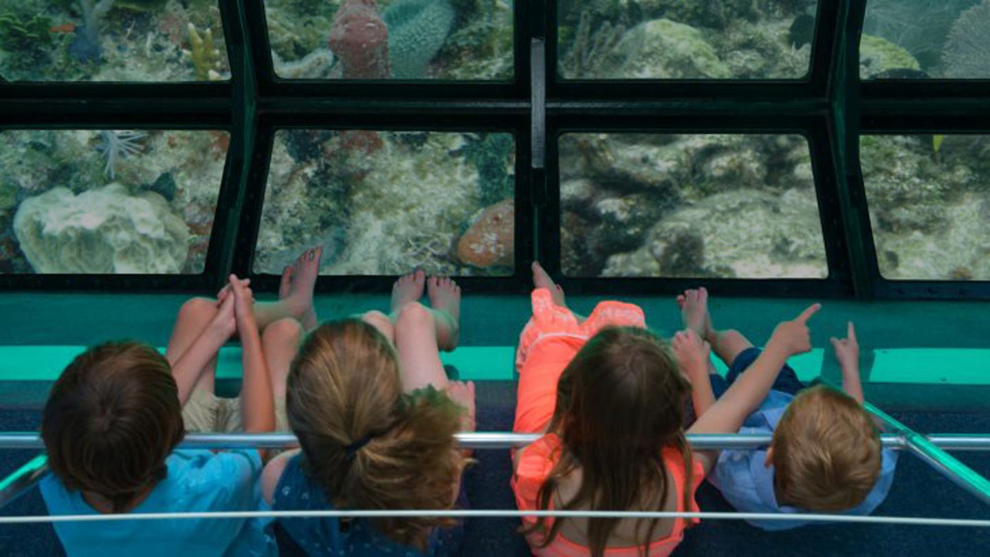 Kids looking at glass bottom