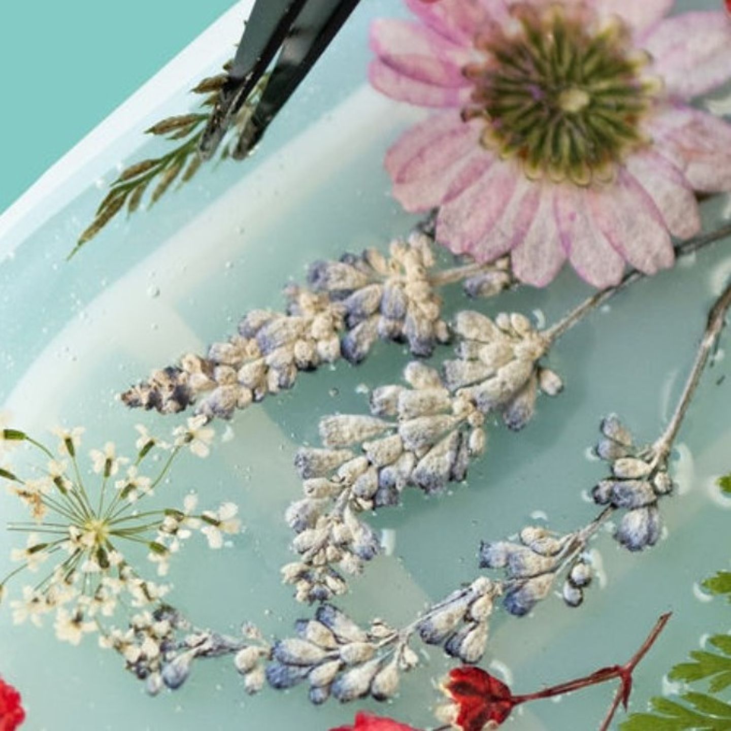 Pressed Flowers