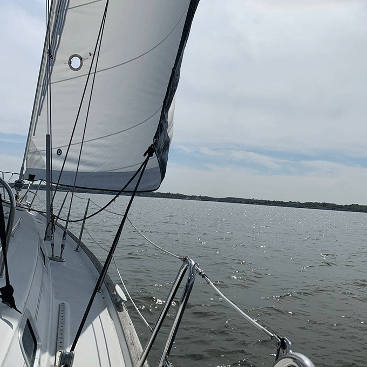 Day Cruises