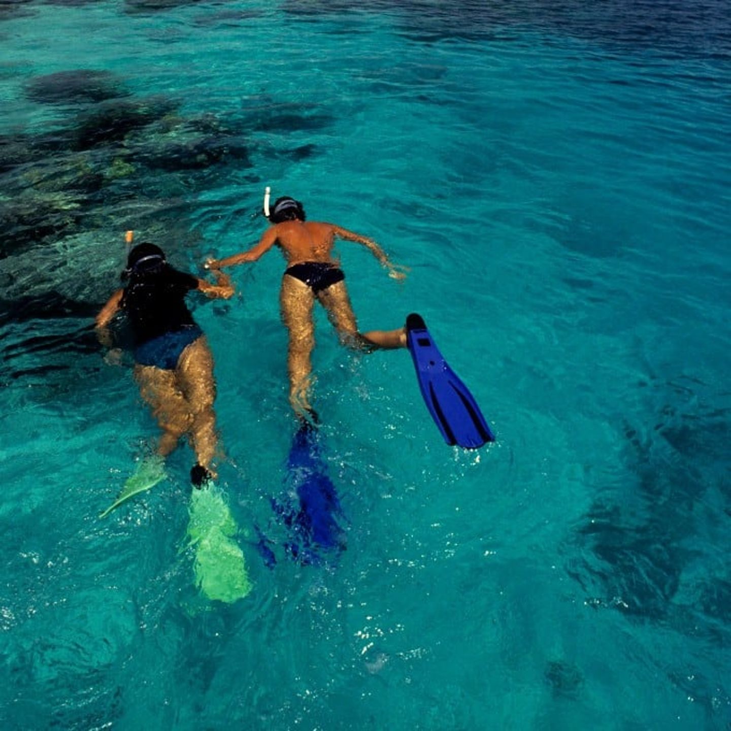 Two people snorkeling