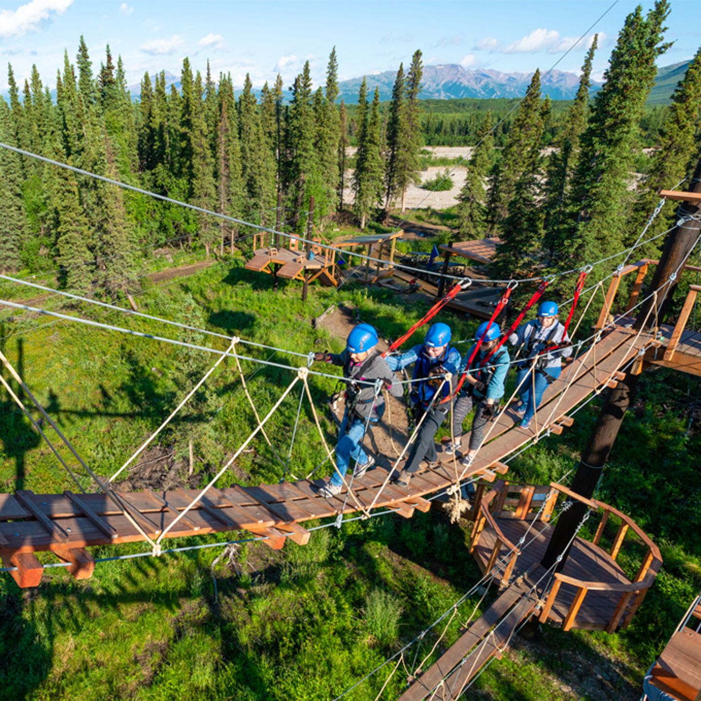 Denali Zipline