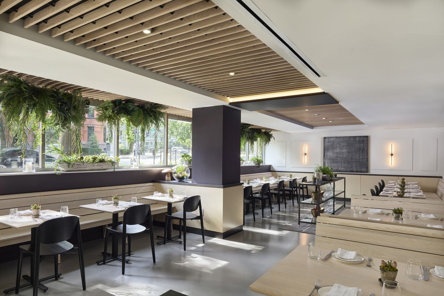 a.kitchn Dining Aera