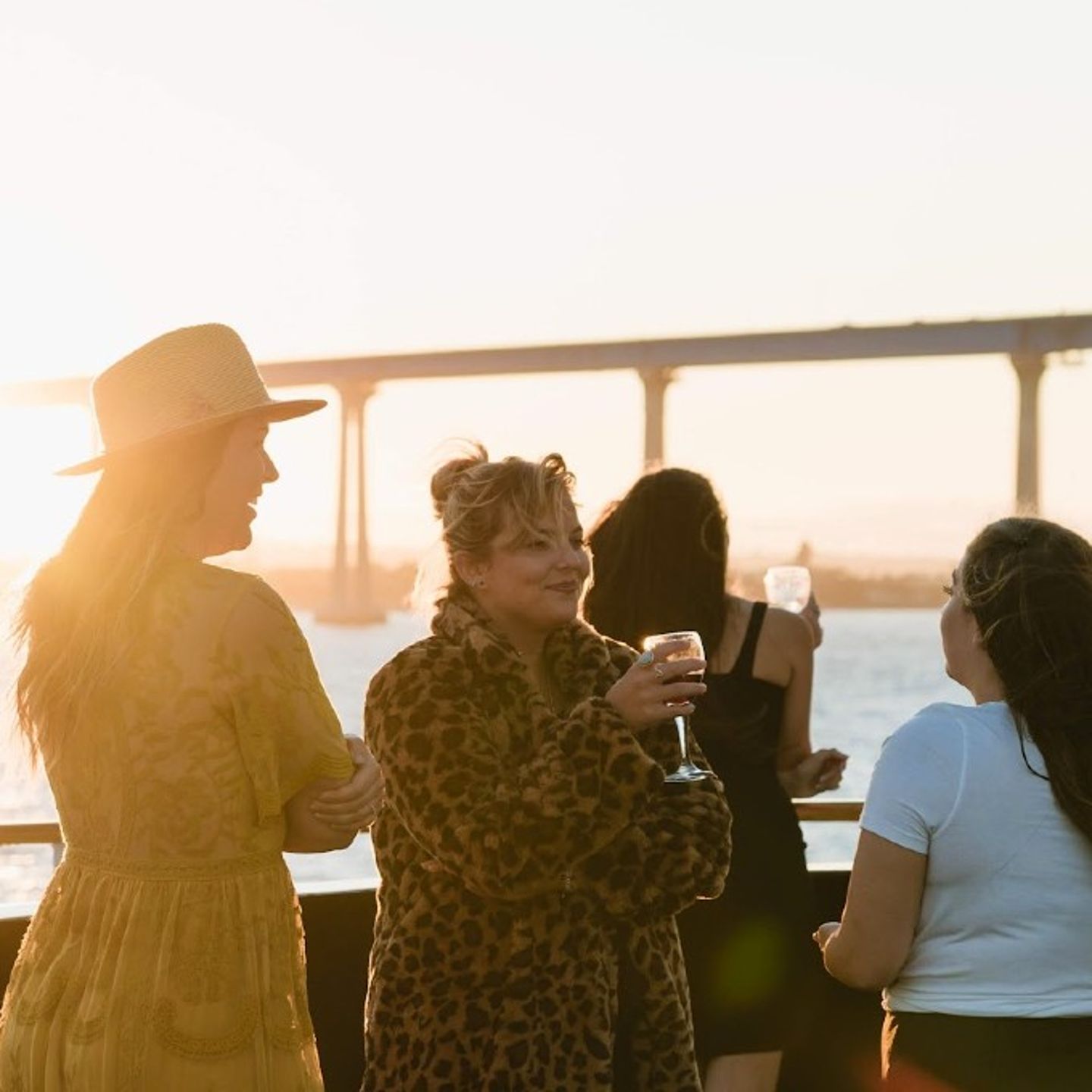 Dining Cruise in Dan Diego Bay