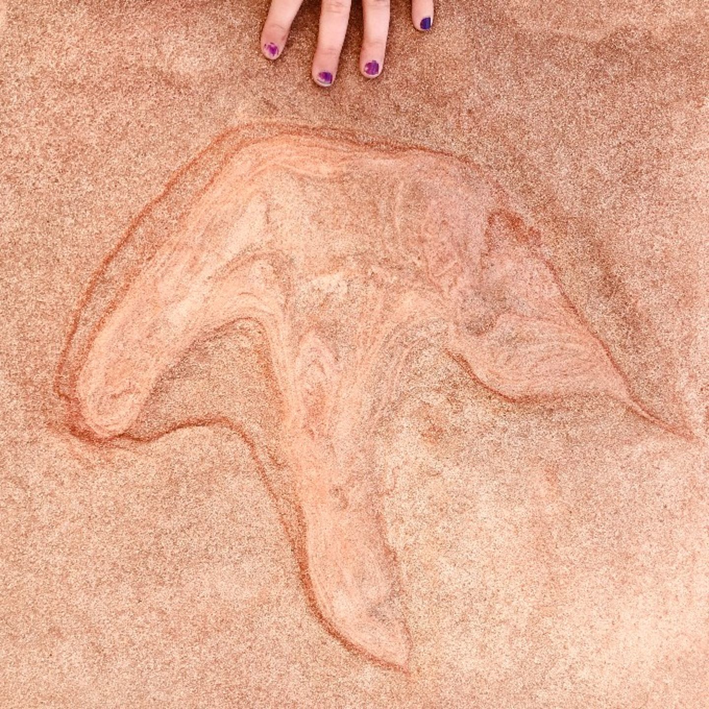 Dinosaur Foot