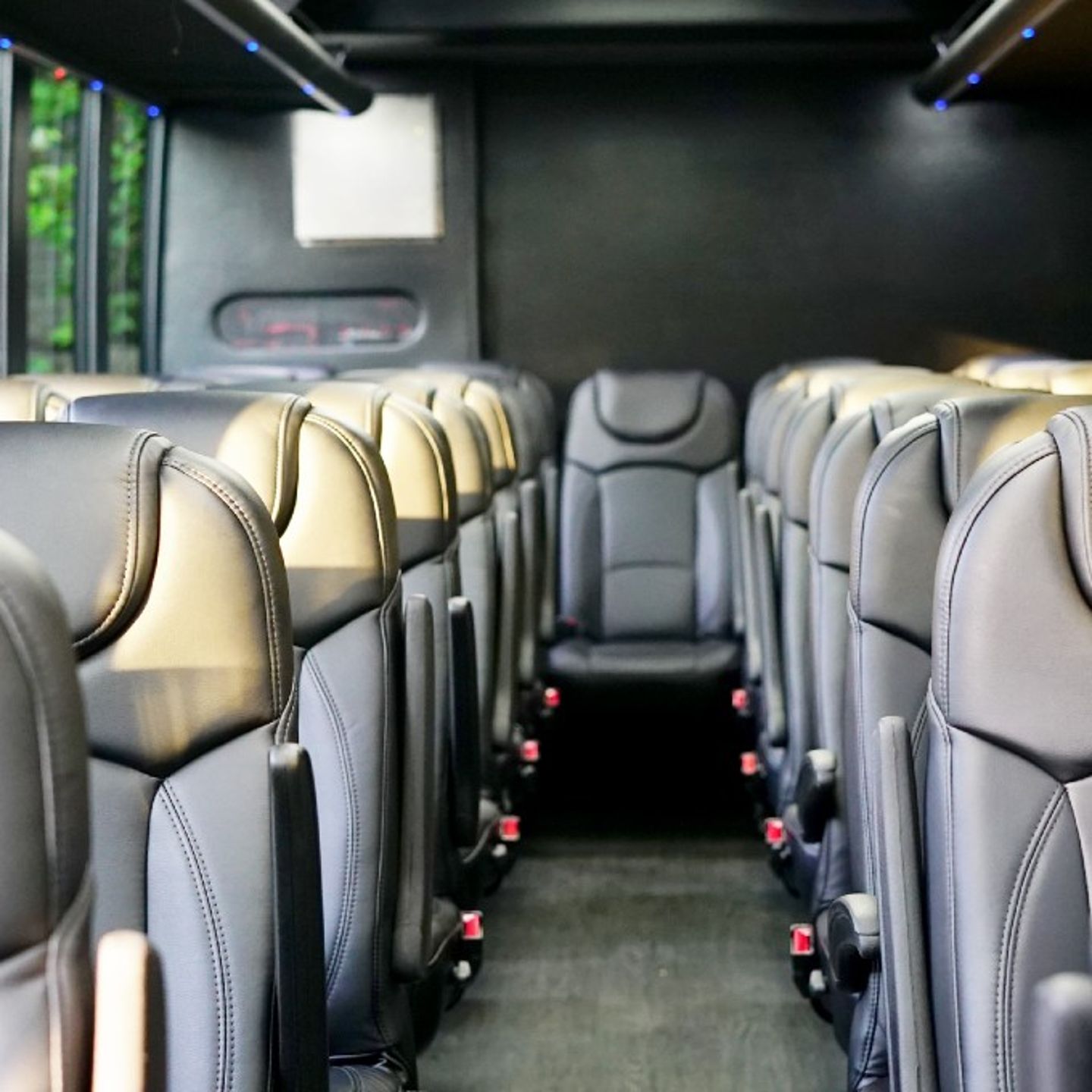 VIP Bus Tour in DC