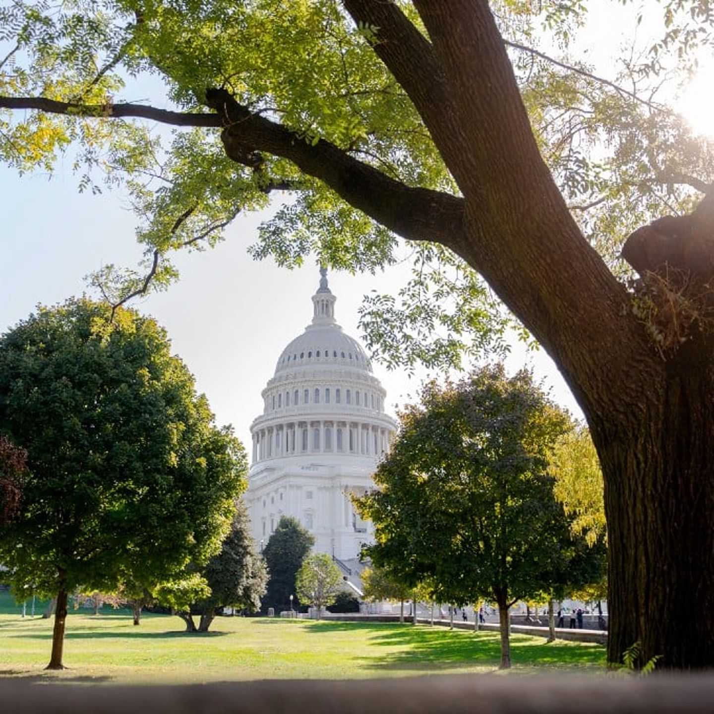 Capitol Building in Washington