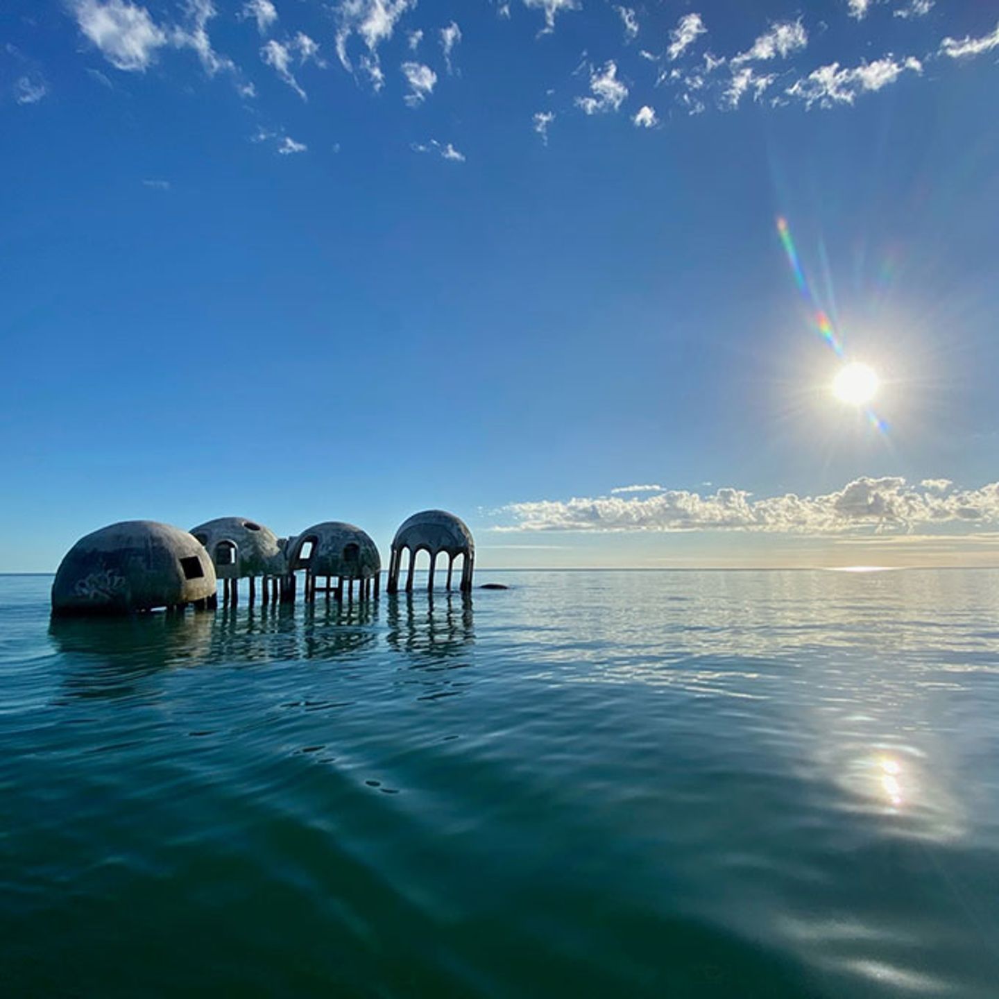 Public Dolphin Tour