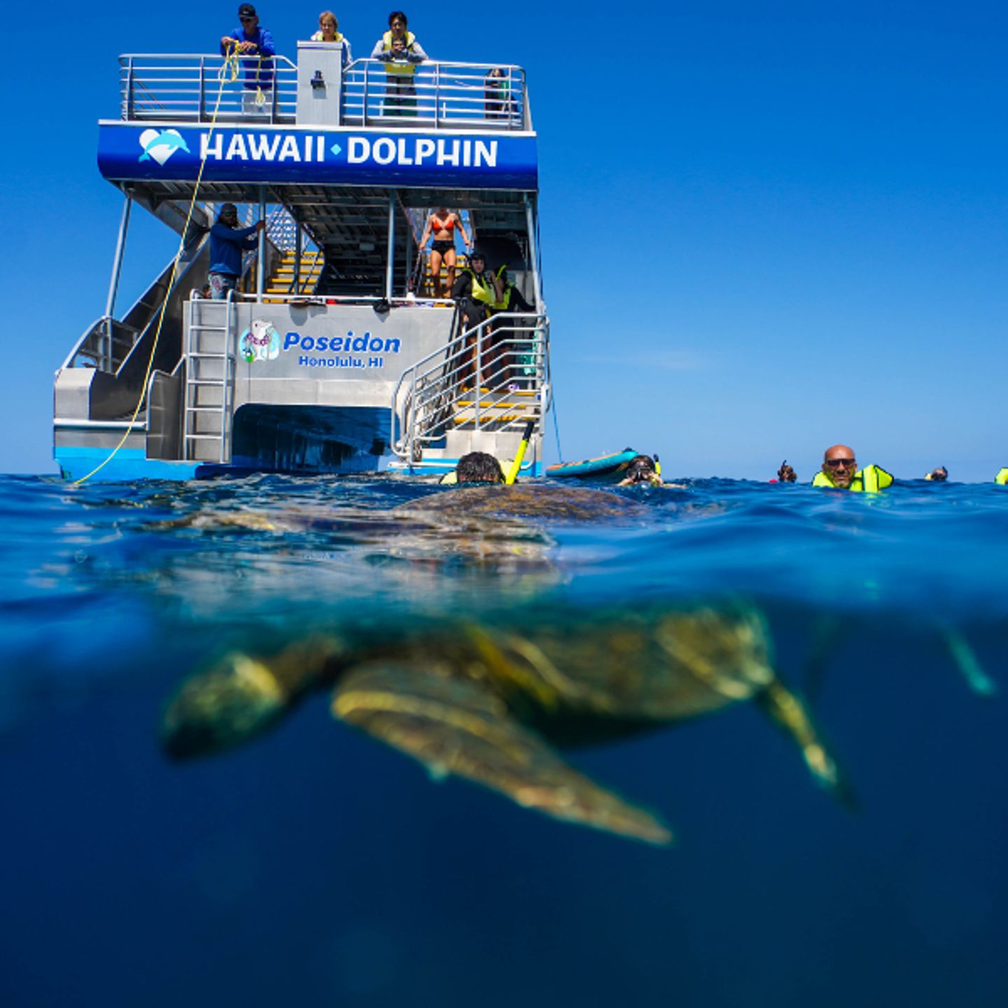 People swimming with turtle