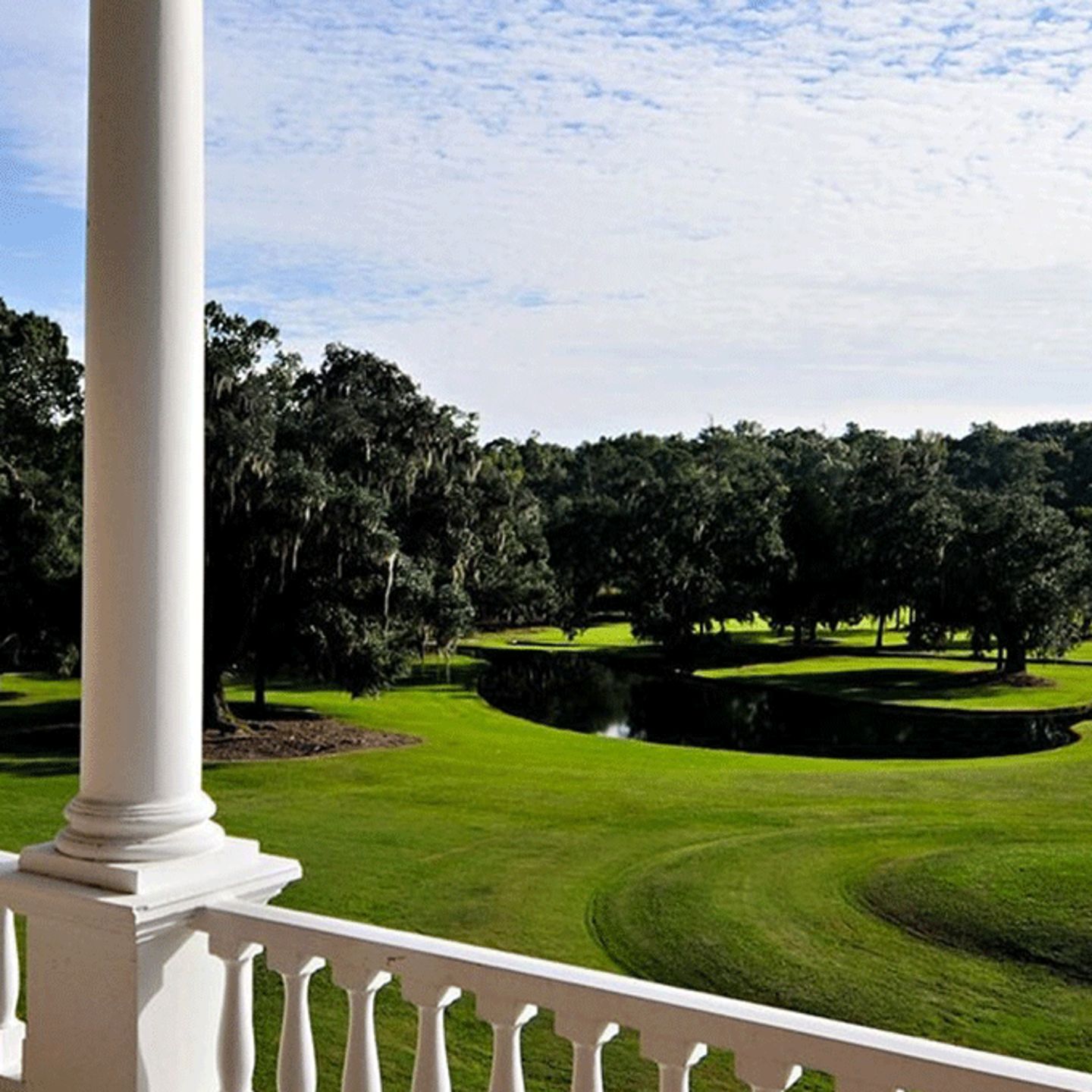 Drayton Hall Grounds