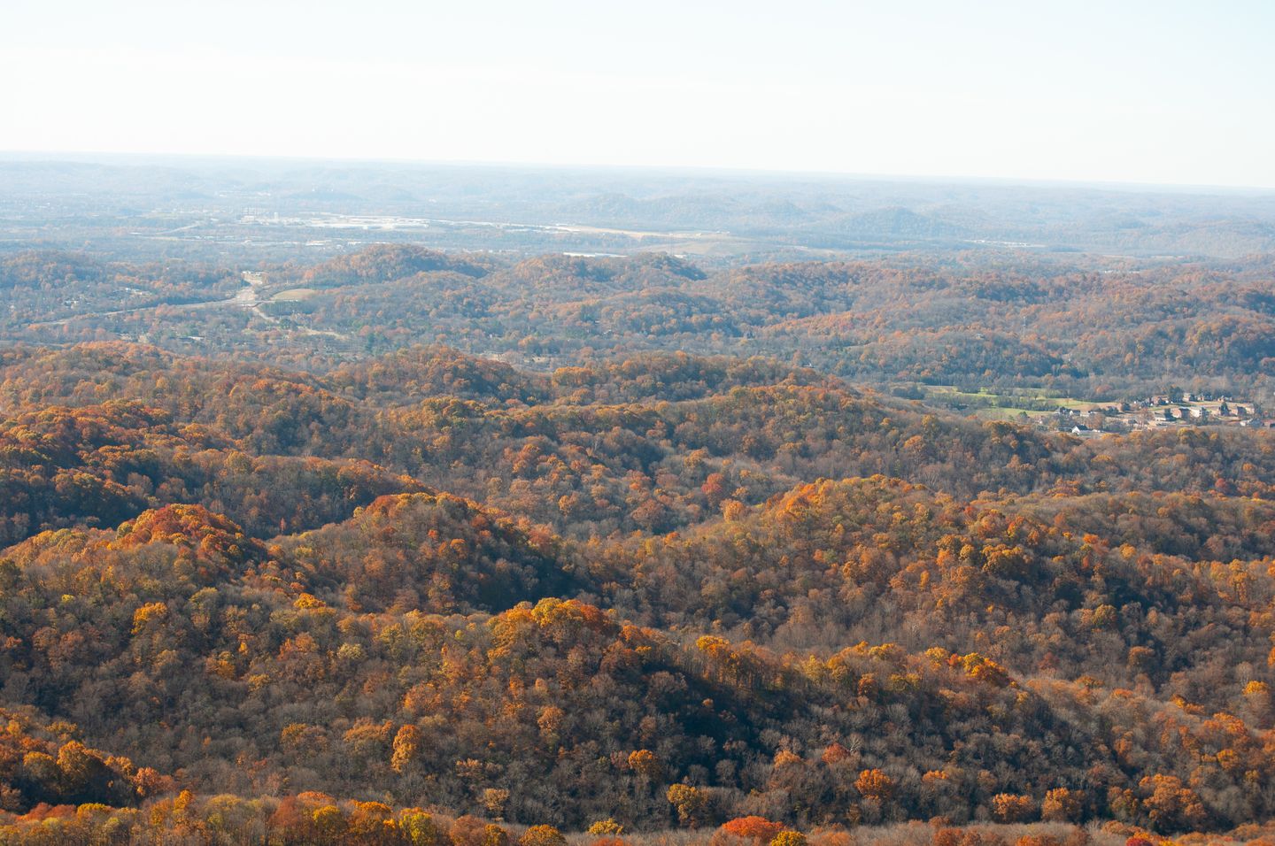 Nashville scenery