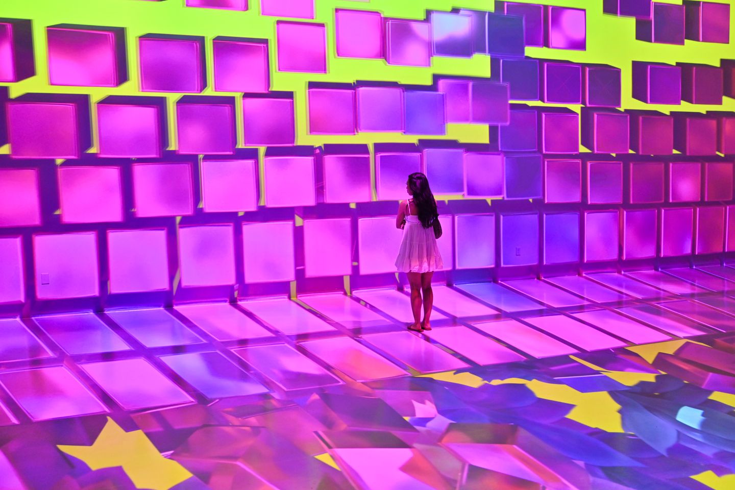 Immersive Art Experience