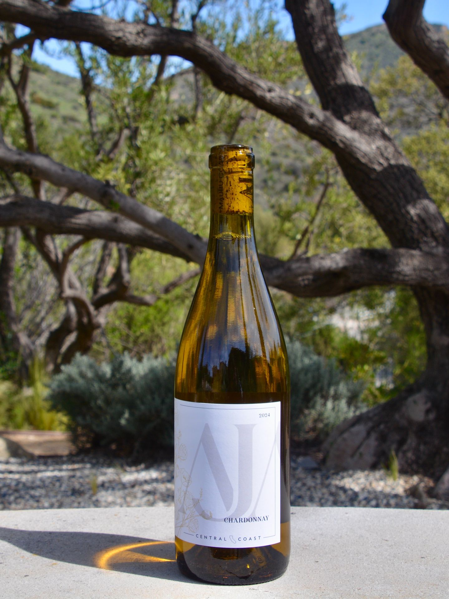 Wine bottle
