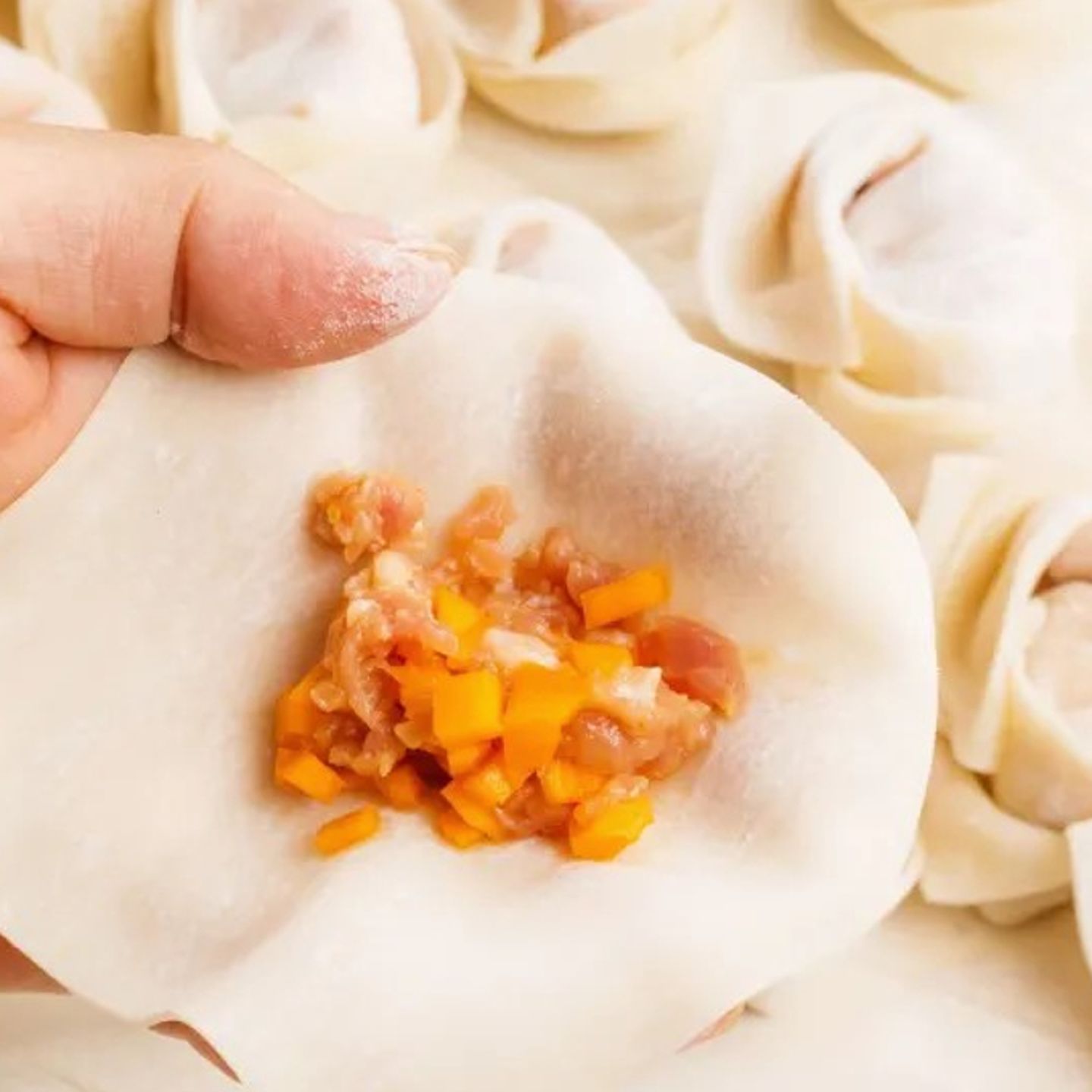 Dumpling filling