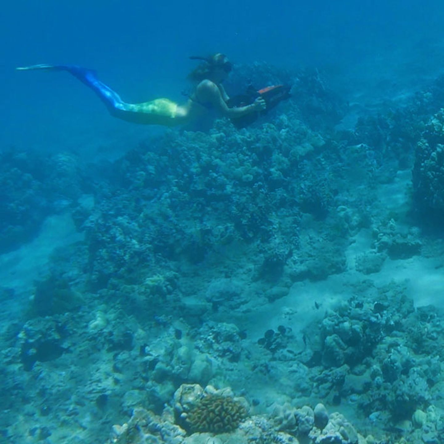 Eco Sea Scooter Tour