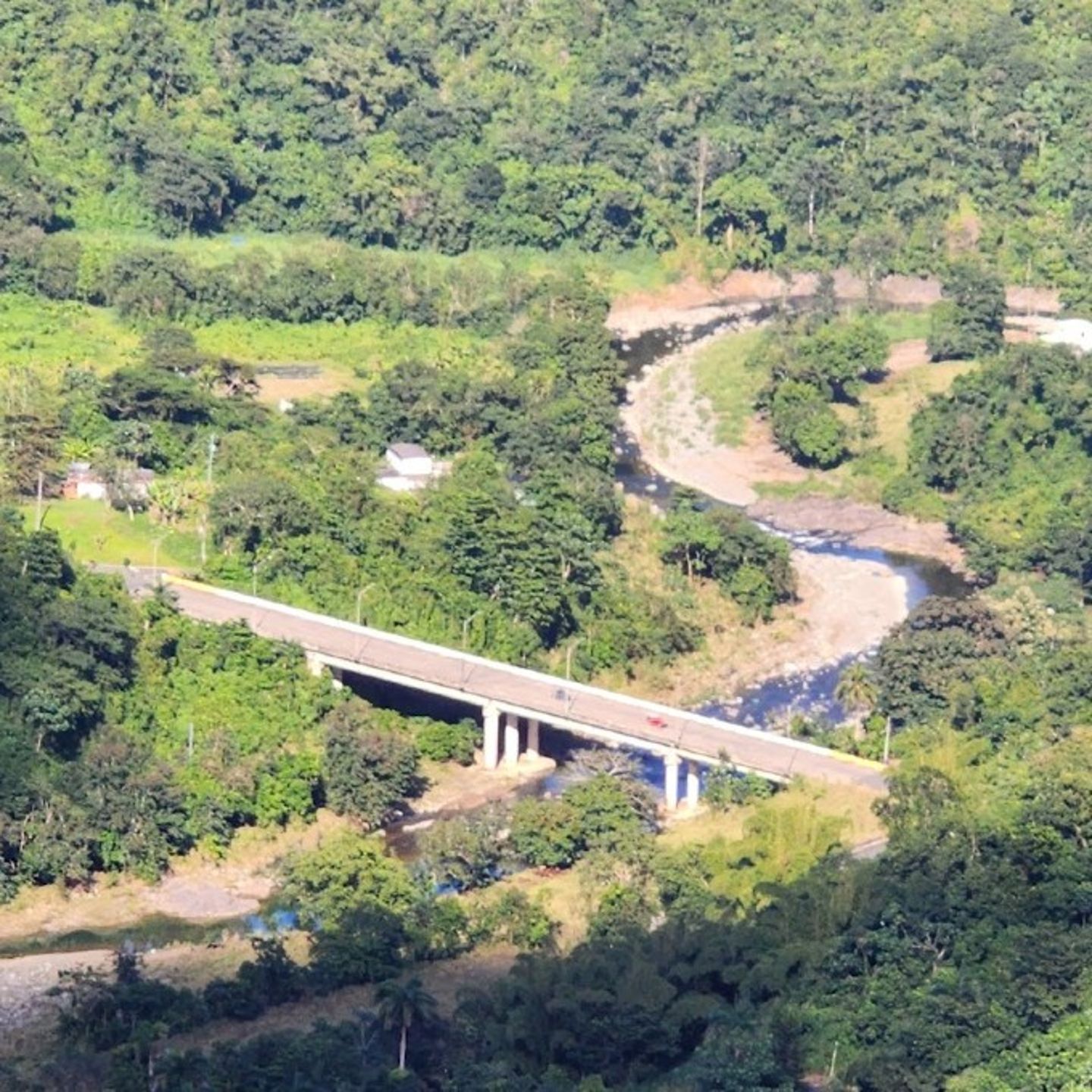 Sky View of Forrest 