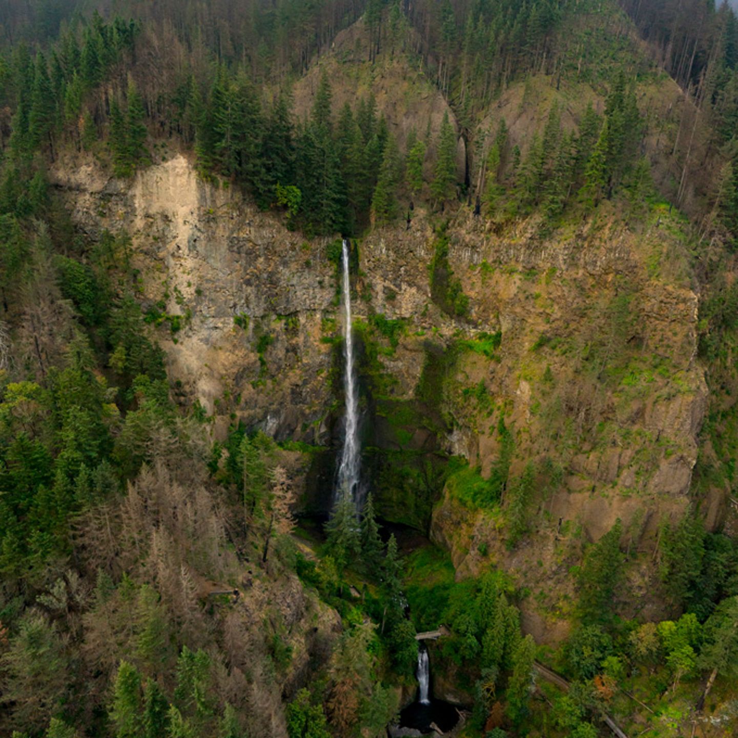 See the Best of Portland from the Air