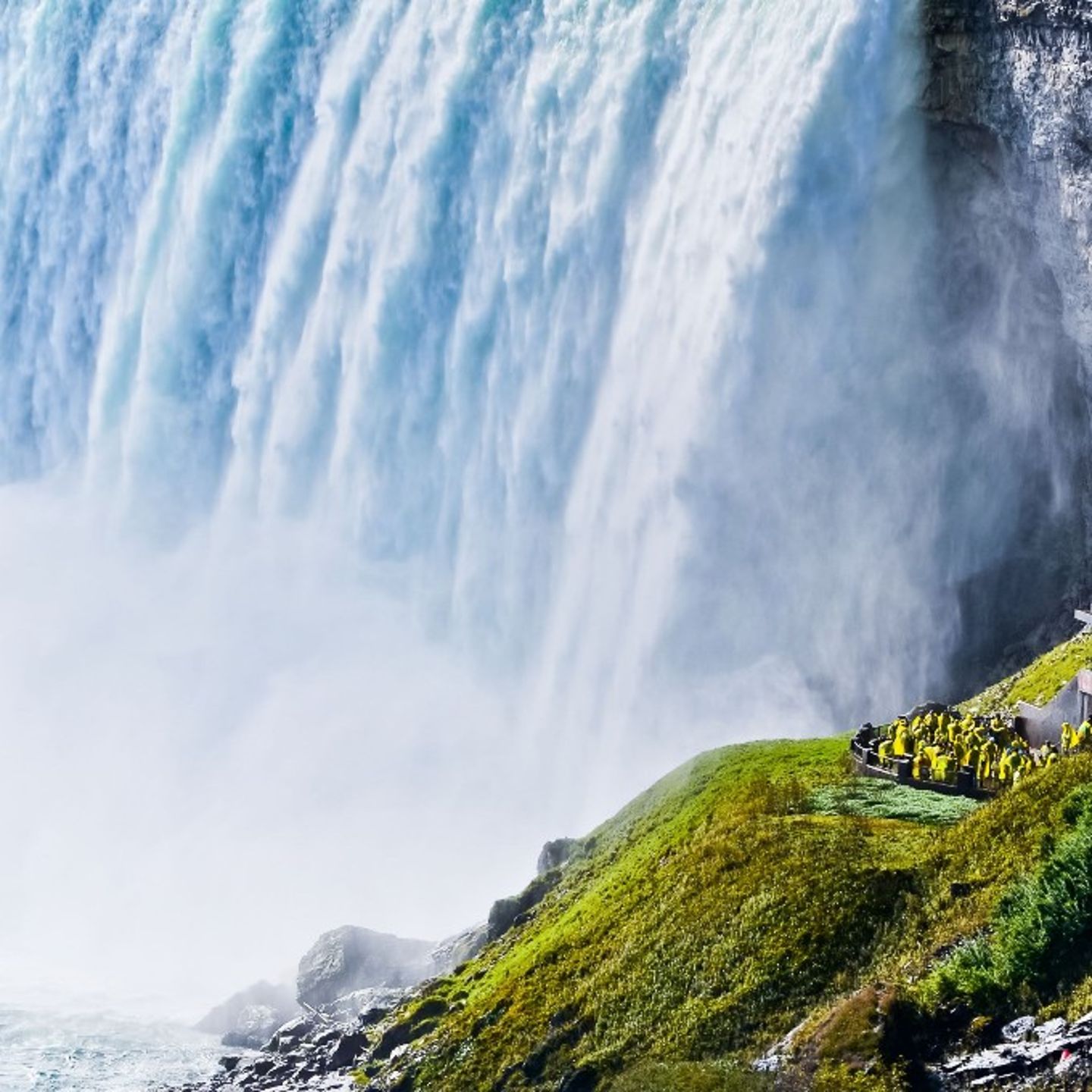 Group Viewing Falls