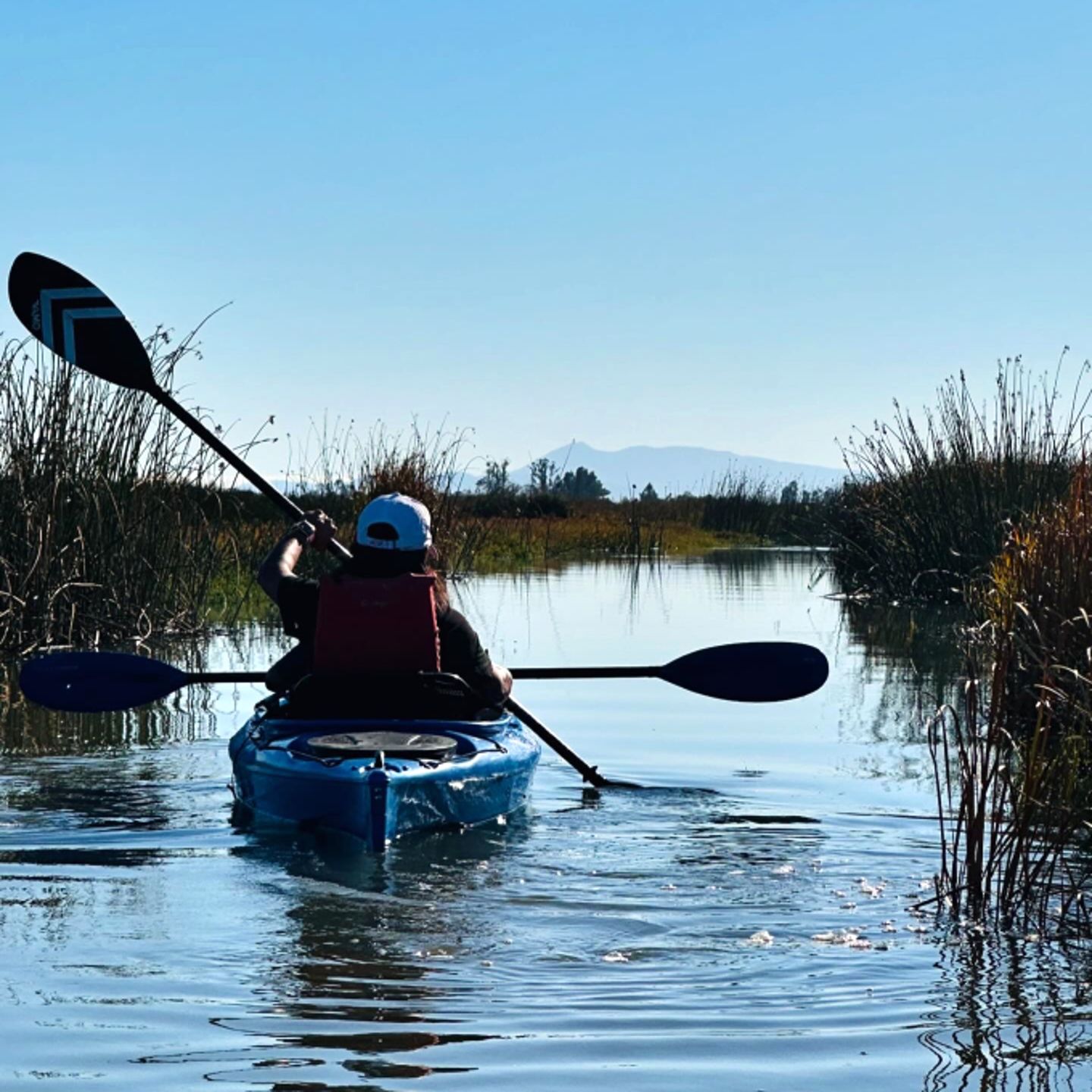 People kayaking in marsh