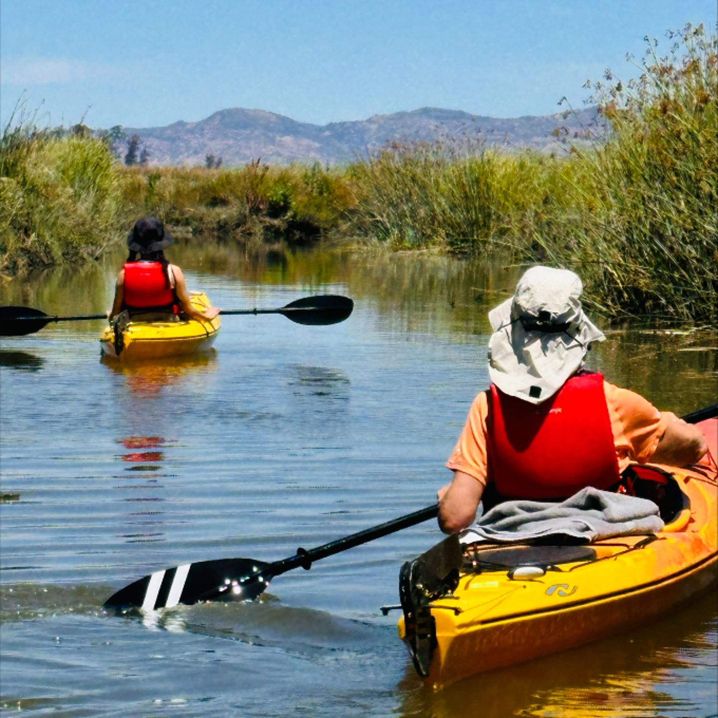 Kayaking on marsh