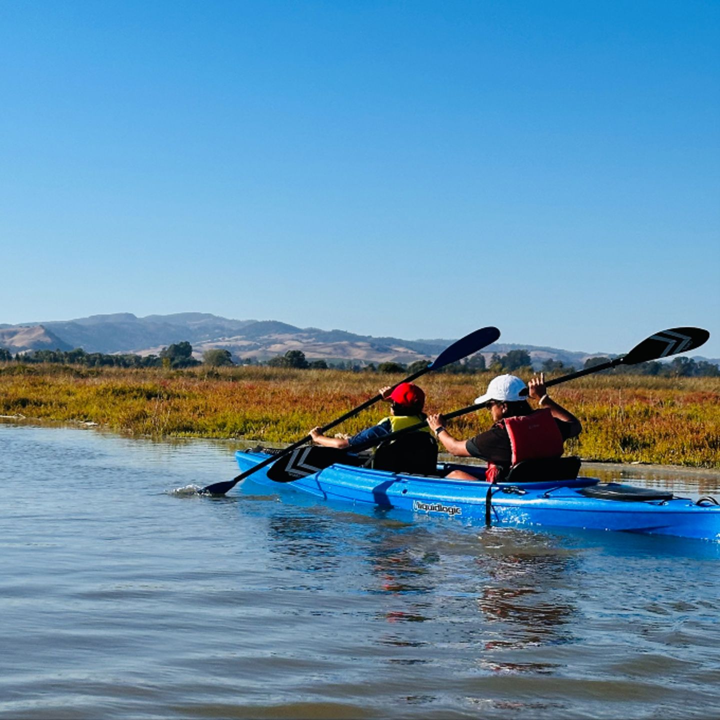 Two people paddling