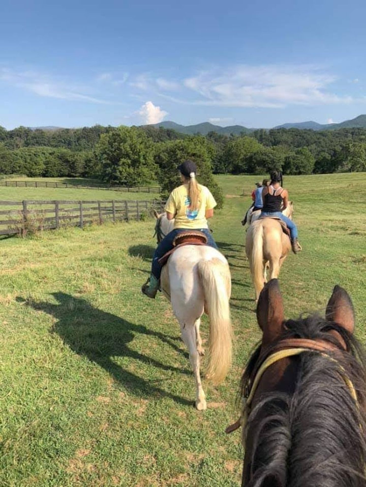 People riding on horses