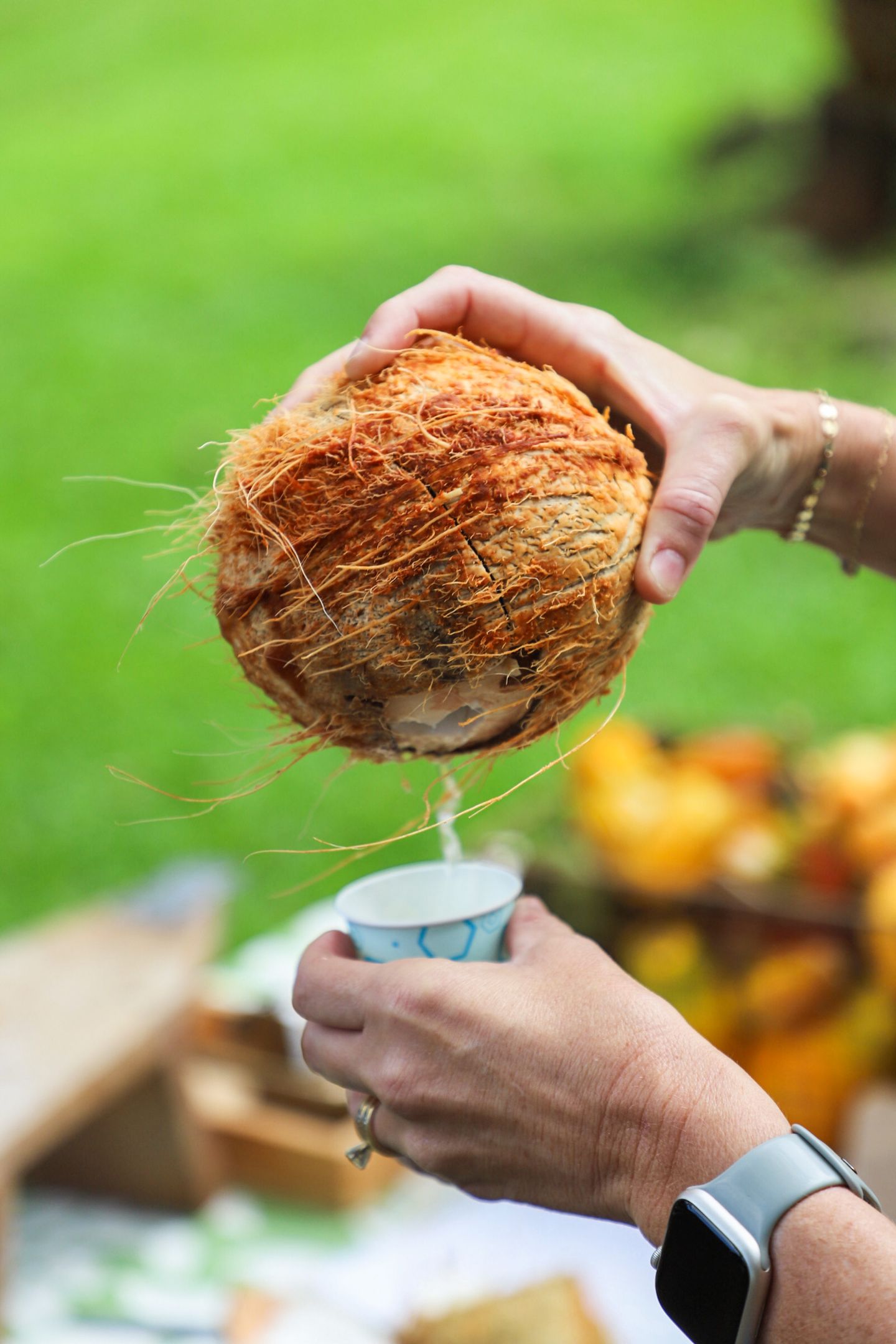 Coconut Water Tasting