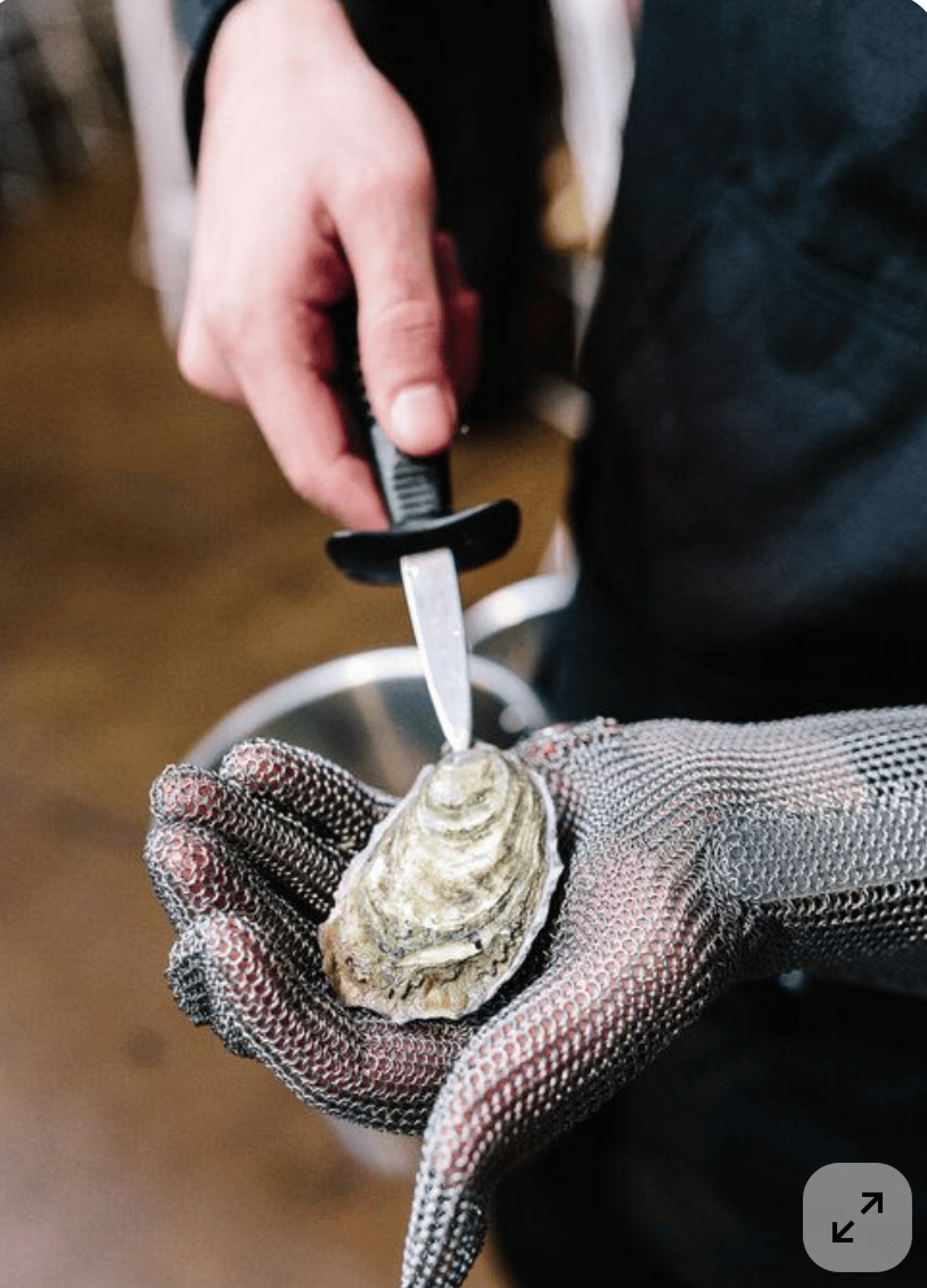 Shucking Oyster