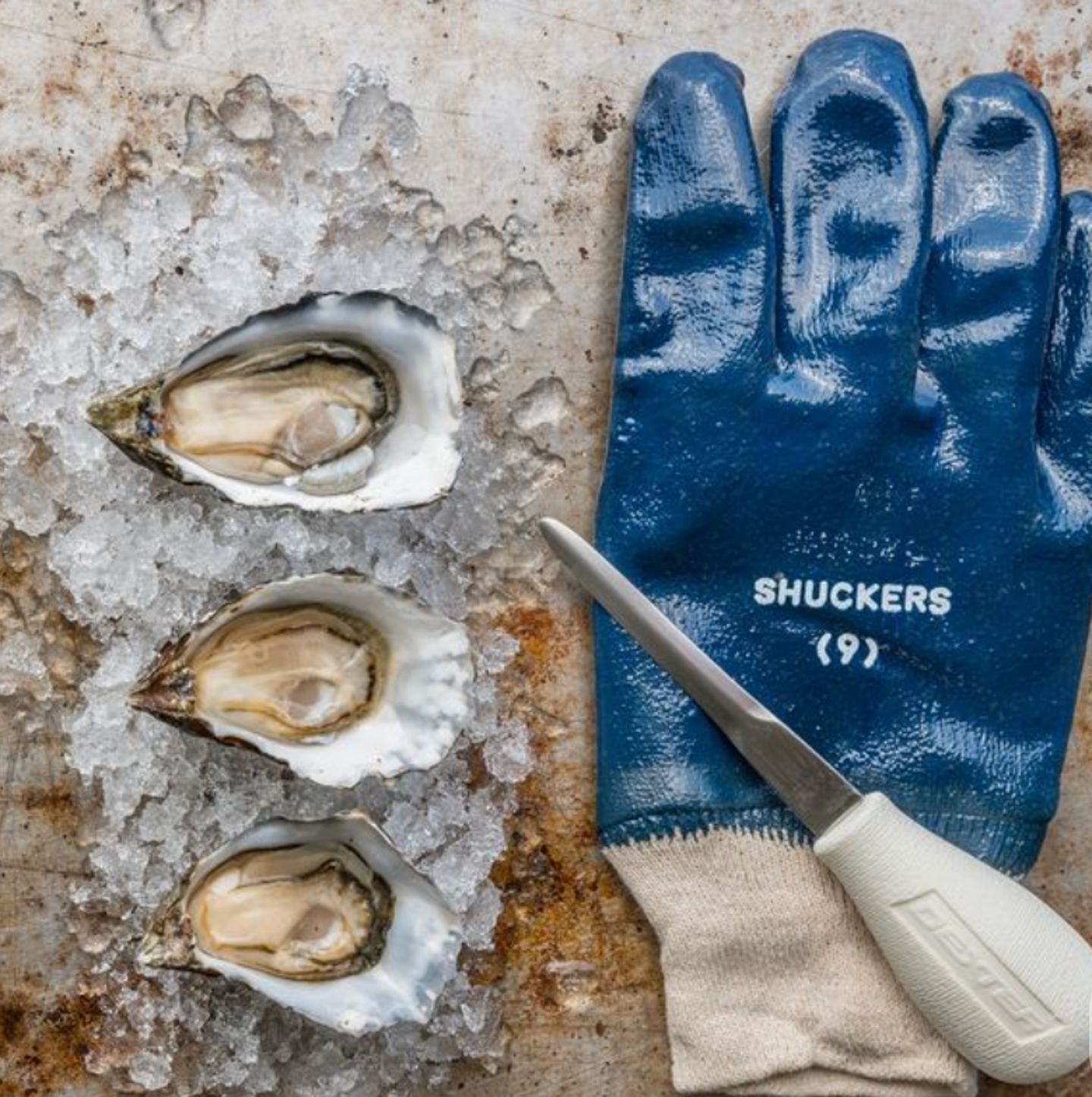 Oyster Shucking